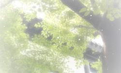 Featured image of post Test